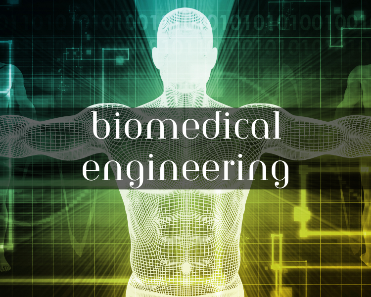 biomedical engineering