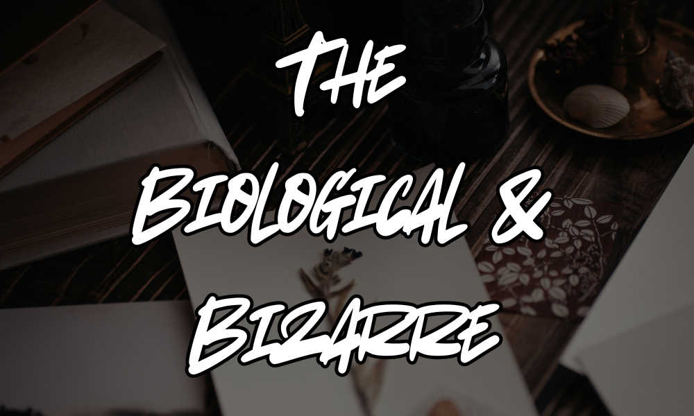 the biological and bizarre